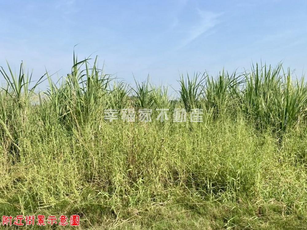 關廟近高爾夫球場持分農