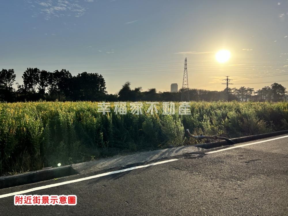 善化北子店1004坪農地