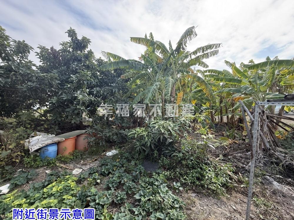 安定六塊寮小小天地小農地