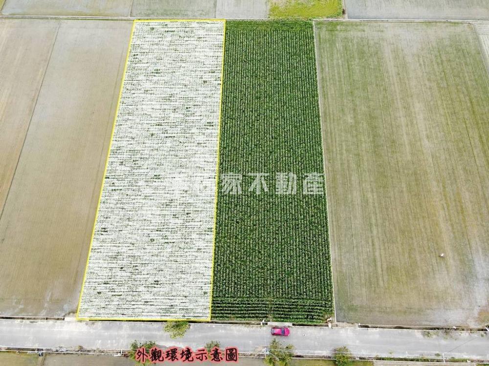 水林牛埔段3分方正農A