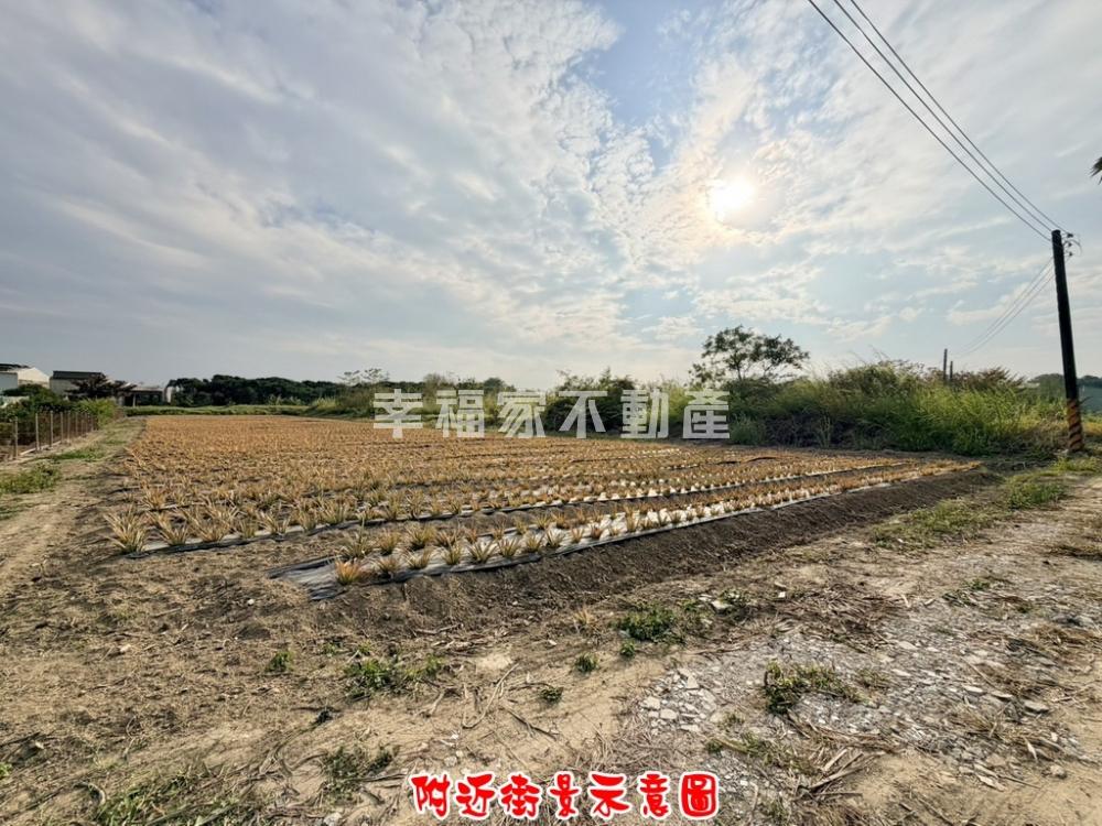 近高鐵特區沙崙美農地