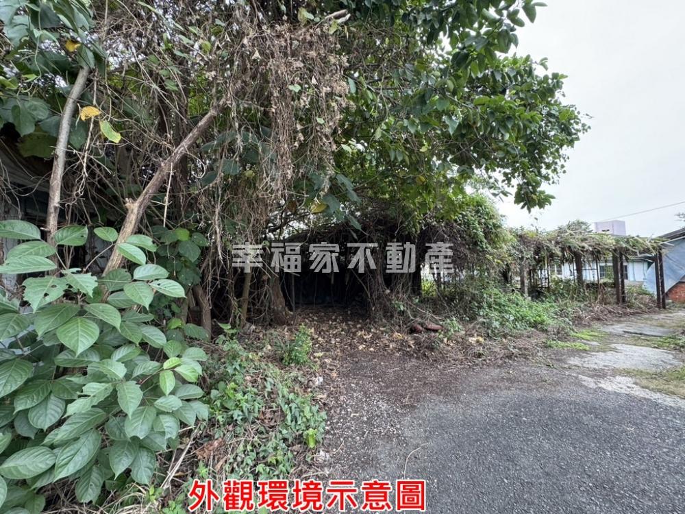 近東山國小低總價建地