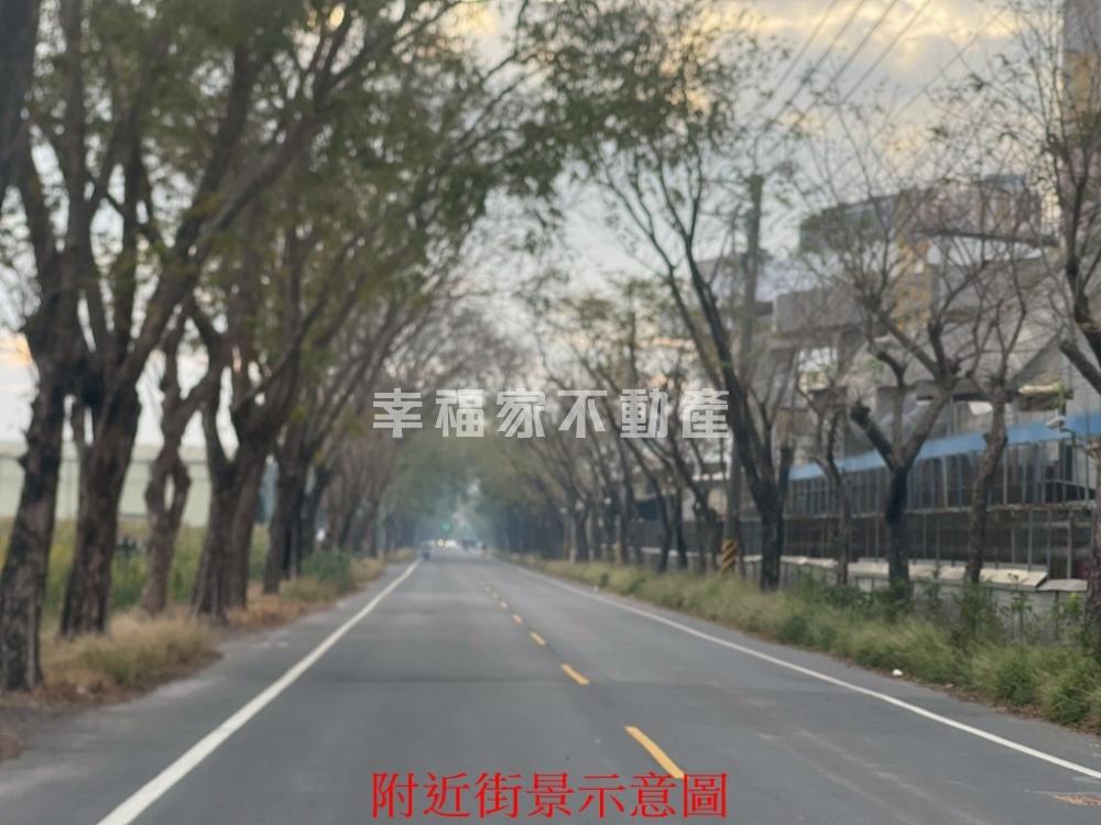 新市東大社稀有特農釋出