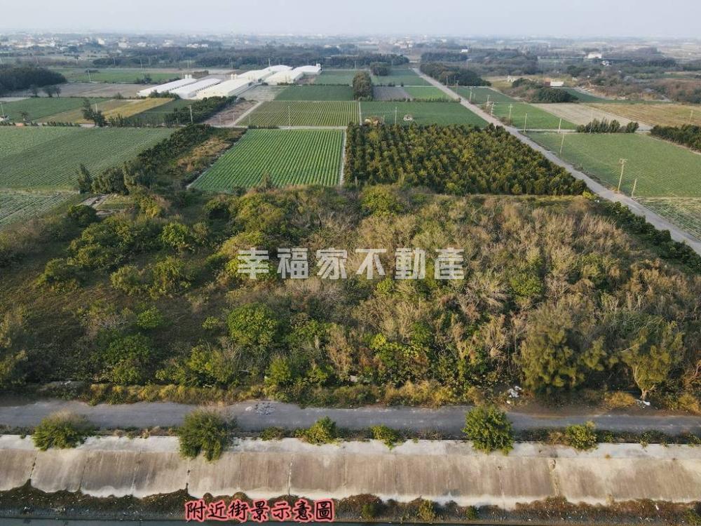 專-台西五華段1分方正農