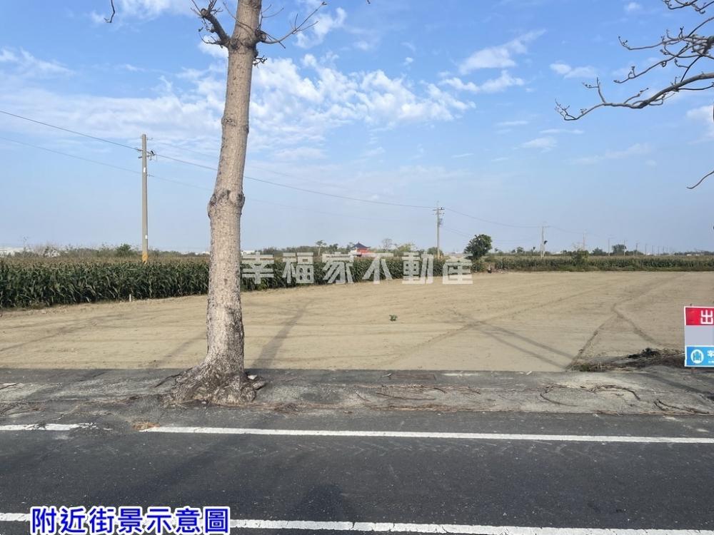 將軍大路面520美田