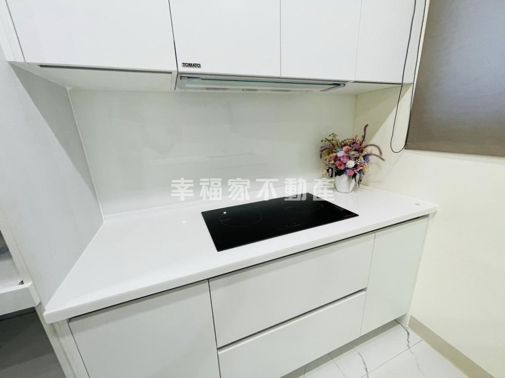 善化近南科電梯雙車墅A6