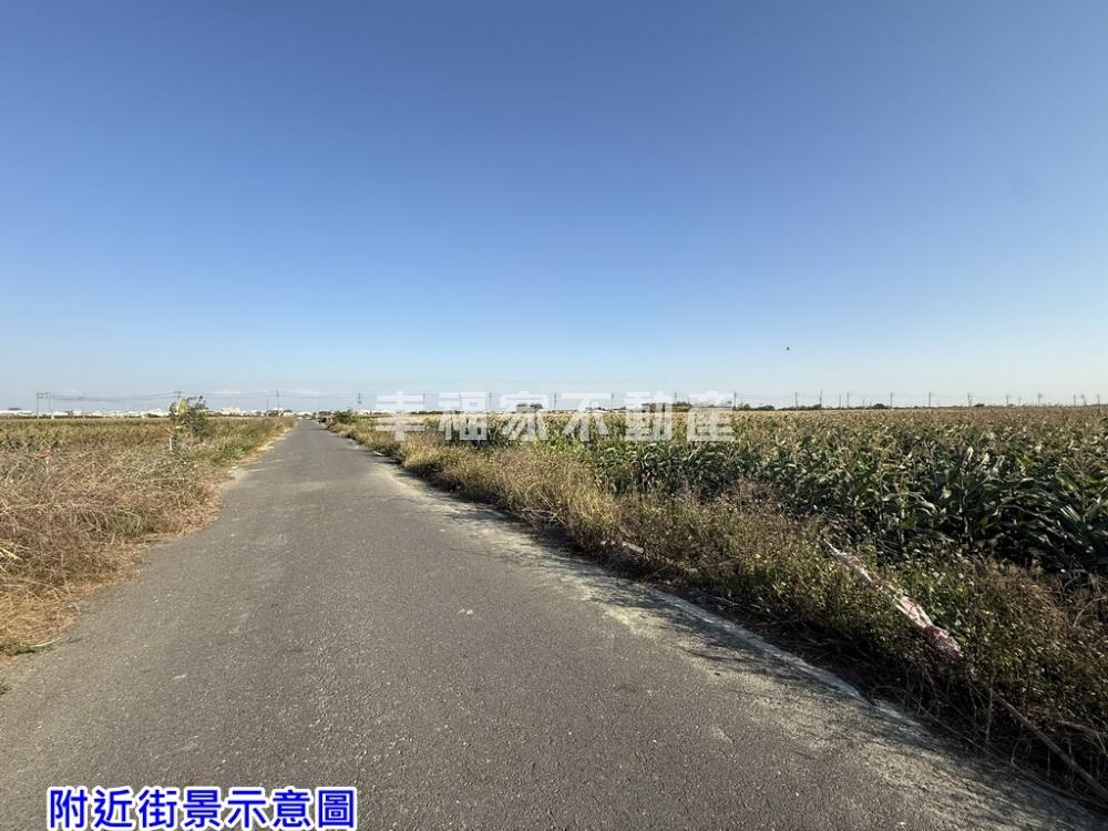 佳里3.7分通興優美農