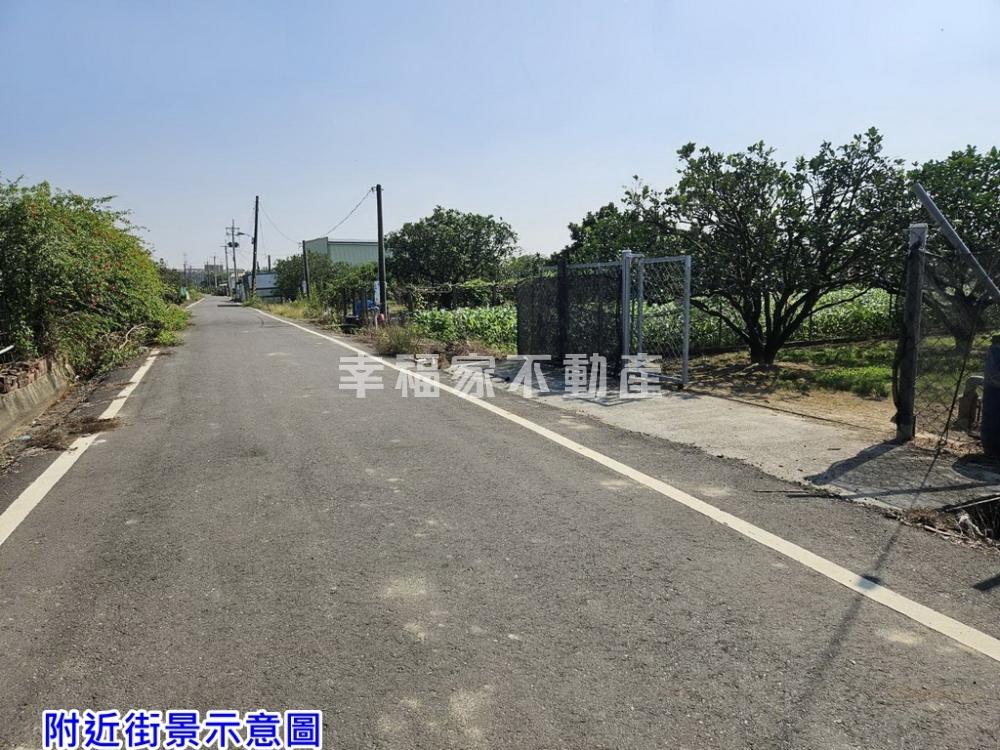 麻豆謝厝寮有水電柚子園