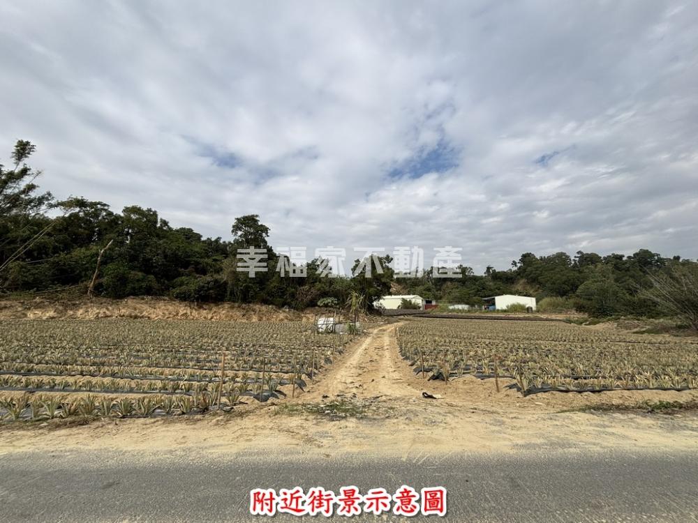 關廟268坪農地