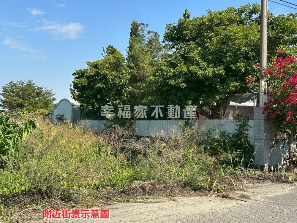 新營後鎮農地