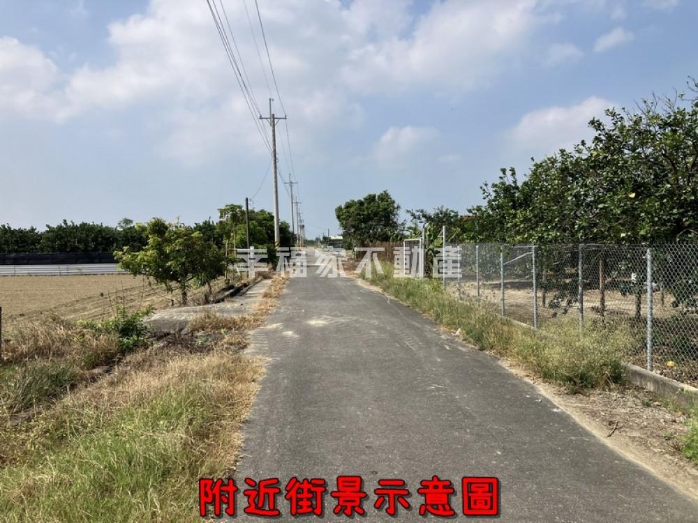 麻豆番仔寮柚香農園1.4分