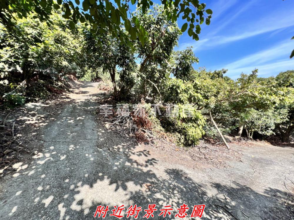 東山東原持分4.4分林地