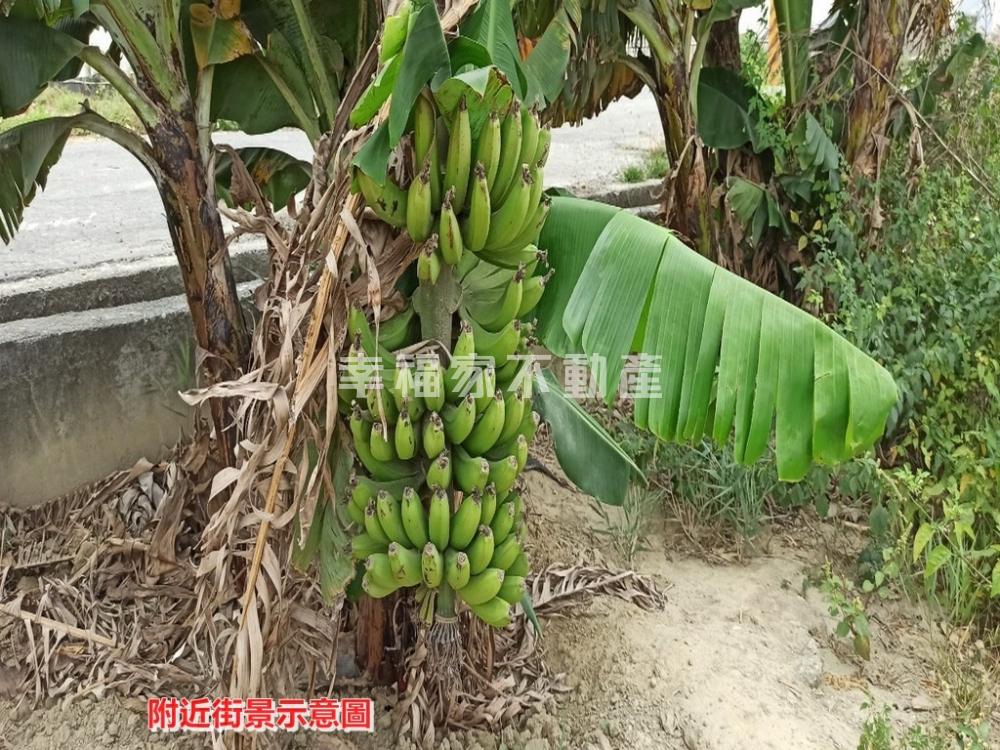 將軍巷口三角窗好田