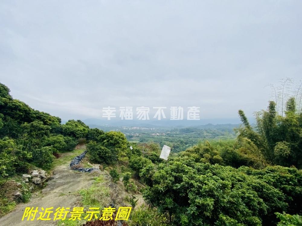 東山東原9.6分景觀大農地