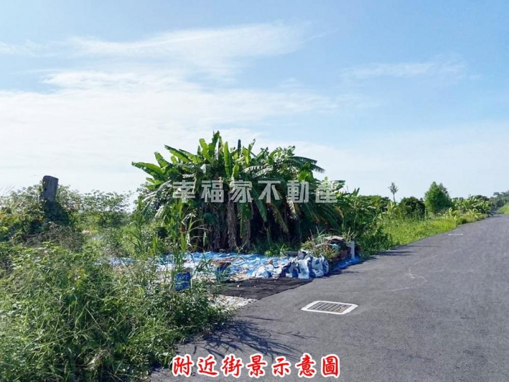 近永成路86都內農地