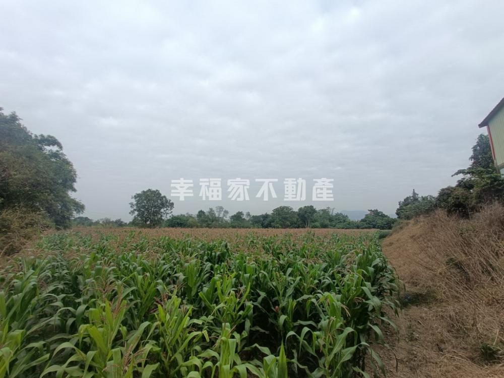 低總價農作水利用地