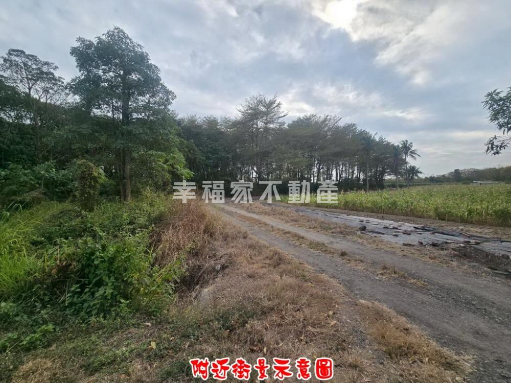 歸仁高鐵林子邊879一般農