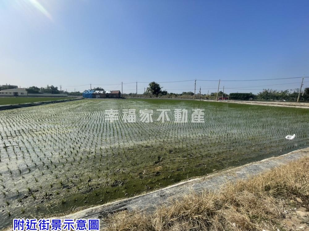 專-官田隆西街大面寬美農地
