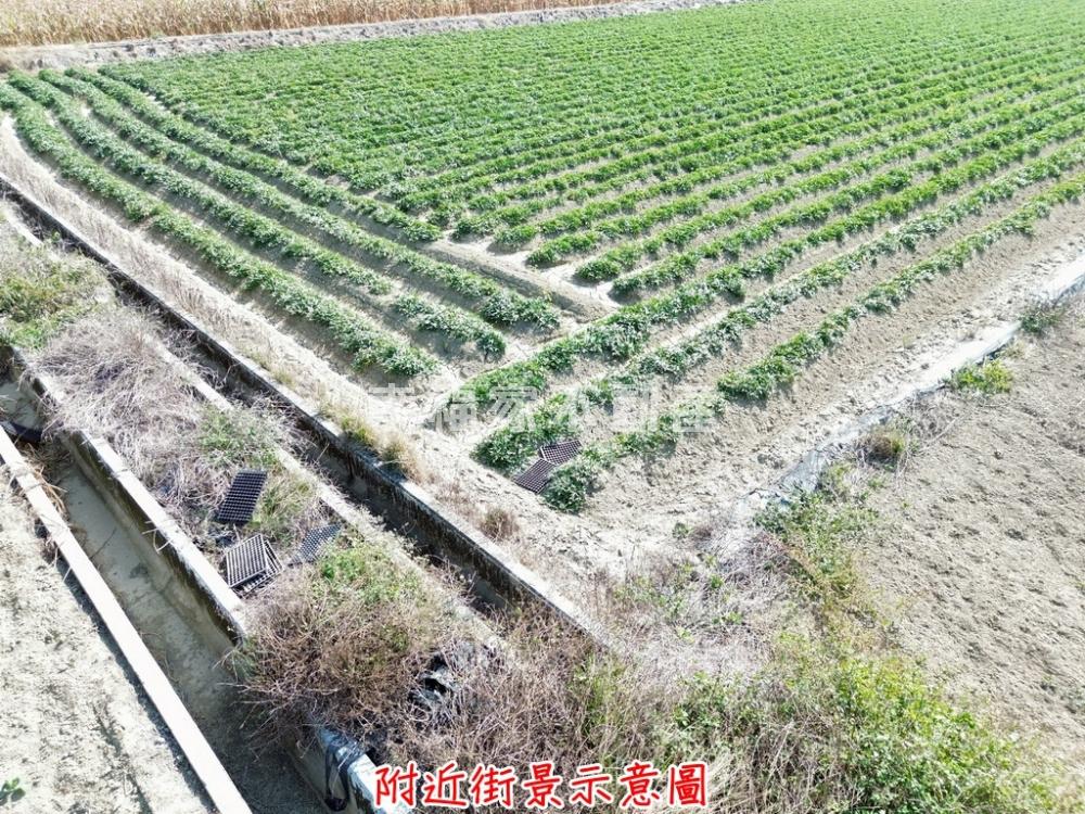 近國三大面寬3.8分農地