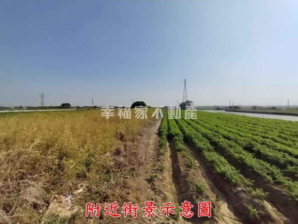 專佳里子龍特農牧用地