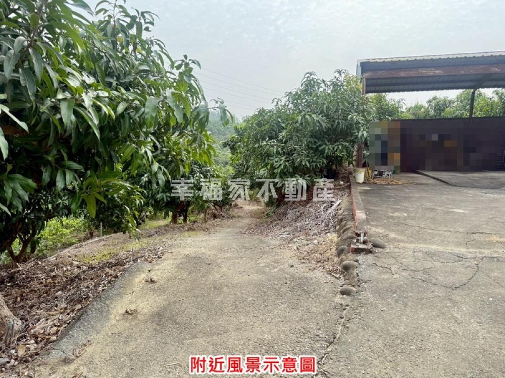 玉井芒果園可送組合屋