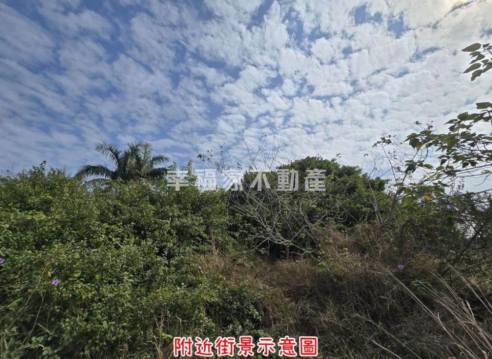 (專)灣裡靜巷380坪都農