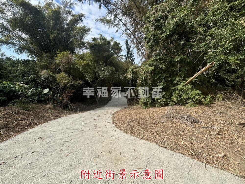 楠西超值綠意盎然芬多精農場