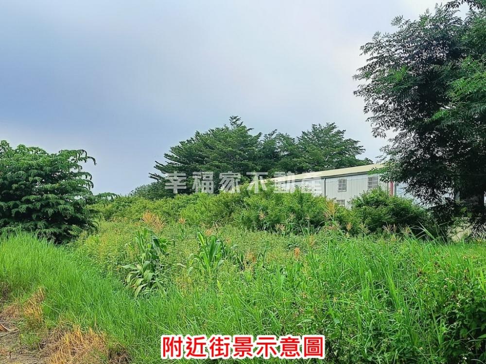 佳里近佳西路大馬路旁農地