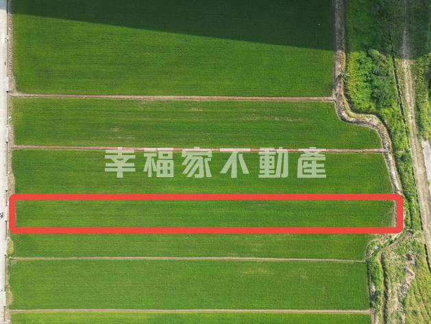 官田都內農可農保