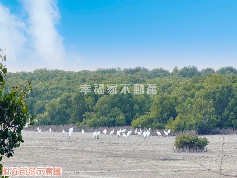 南科西軸近20甲旗艦都計農
