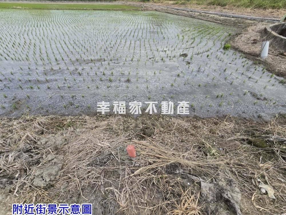 麻豆2.1分有水電美農地