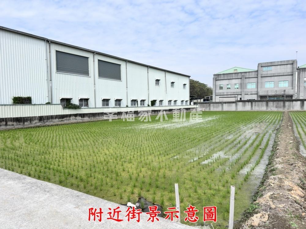 獨家歸仁近市區八甲開心農場