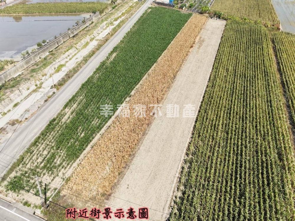 善化胡厝寮388坪美農地