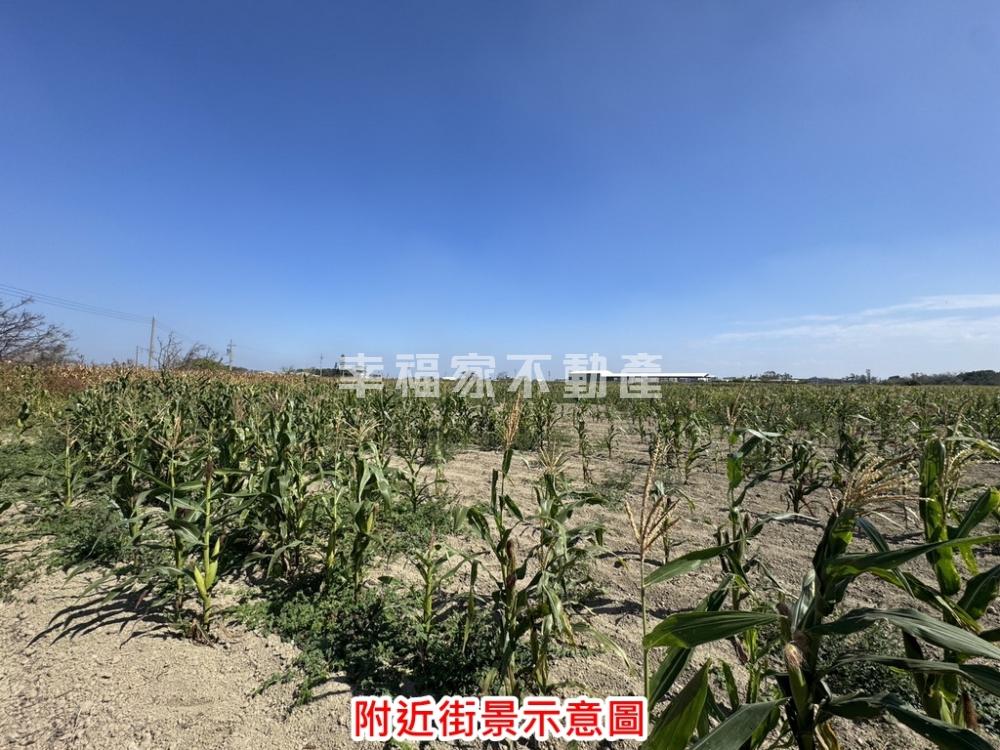七股城內段2分9美農地