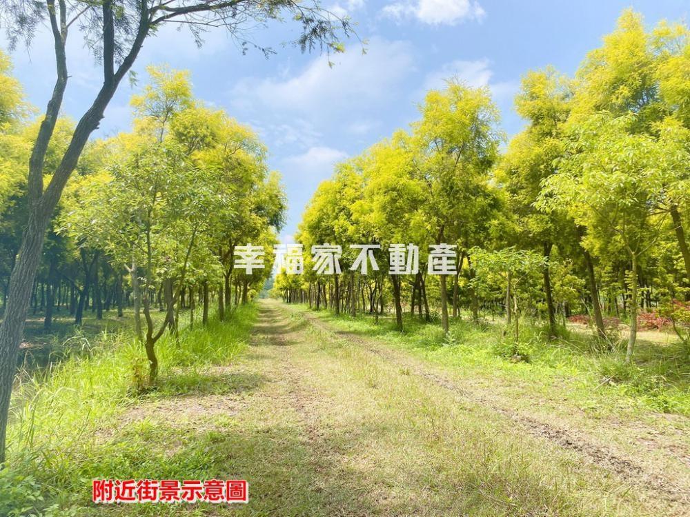六甲段1分方正都內農C