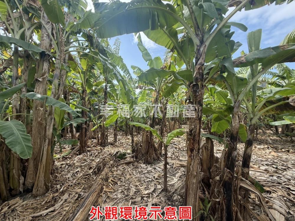 專官田番子渡頭持分乙建2