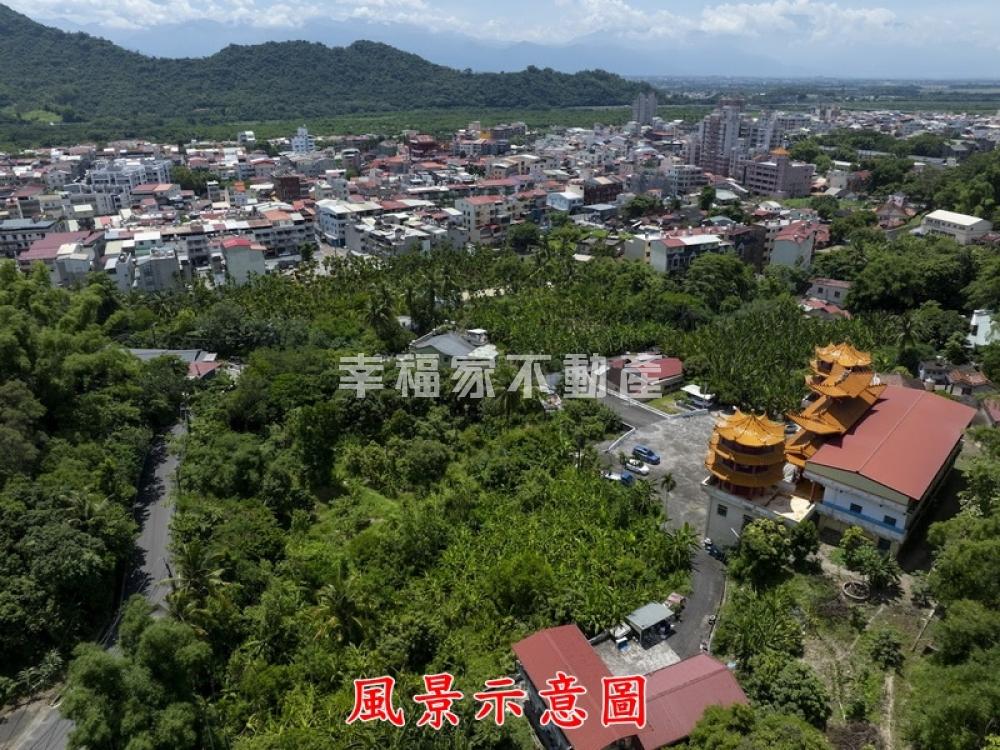 近旗山老街果樹園都內農地1