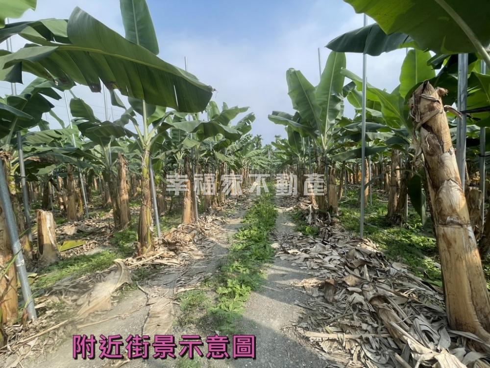 屏東萬巒美農地