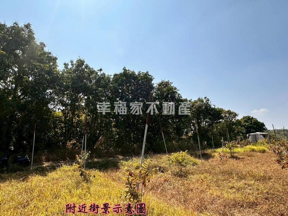 我是開發出價談⚡️大內2分開心農場首選