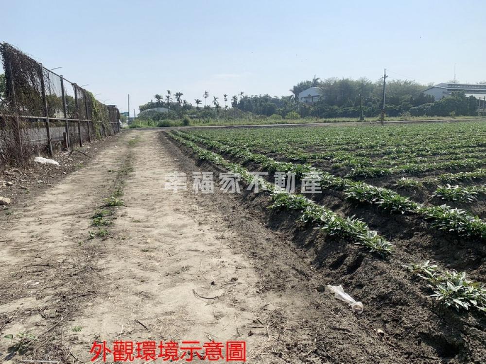專任善化交流道懷恩5分農地