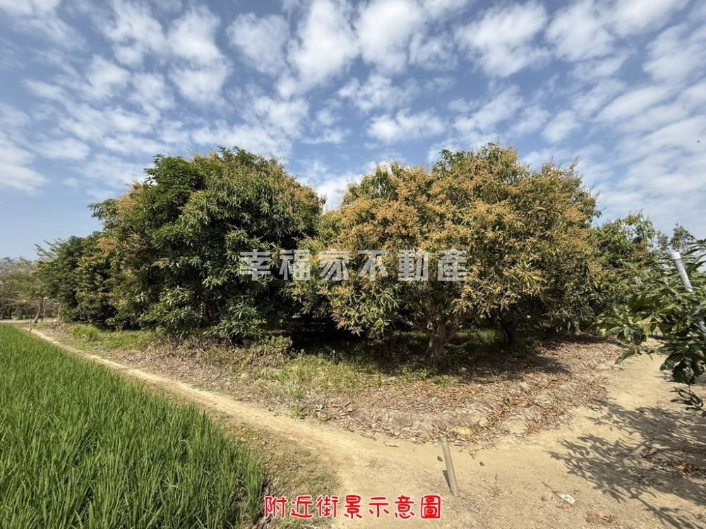 歸仁都內臨公園方正美農地