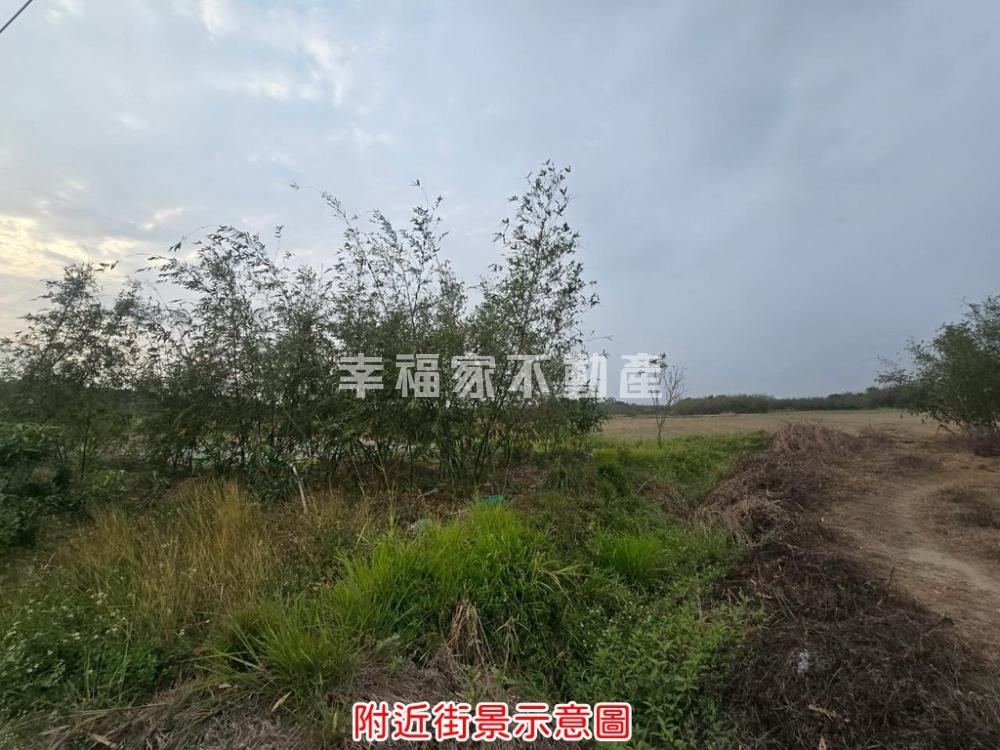 歸仁高鐵沙崙段2分9一般農
