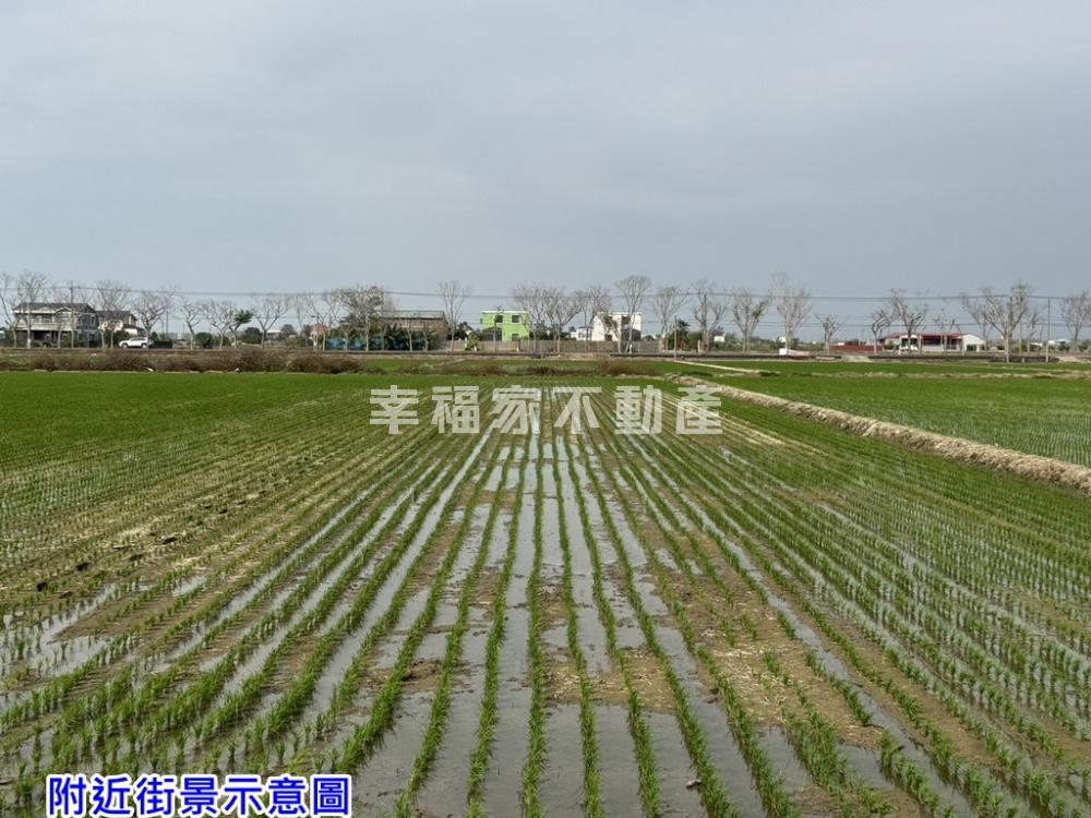 近白河市區方正美農田