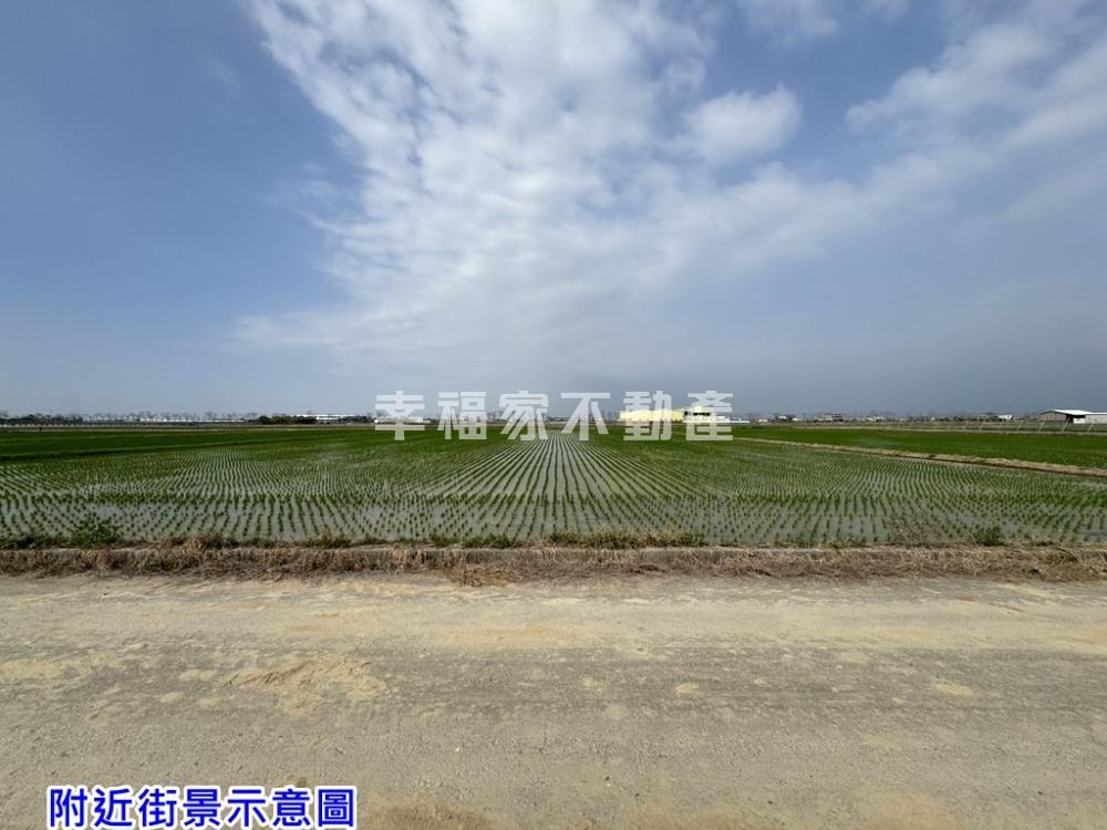 後壁近白河市區方正美農