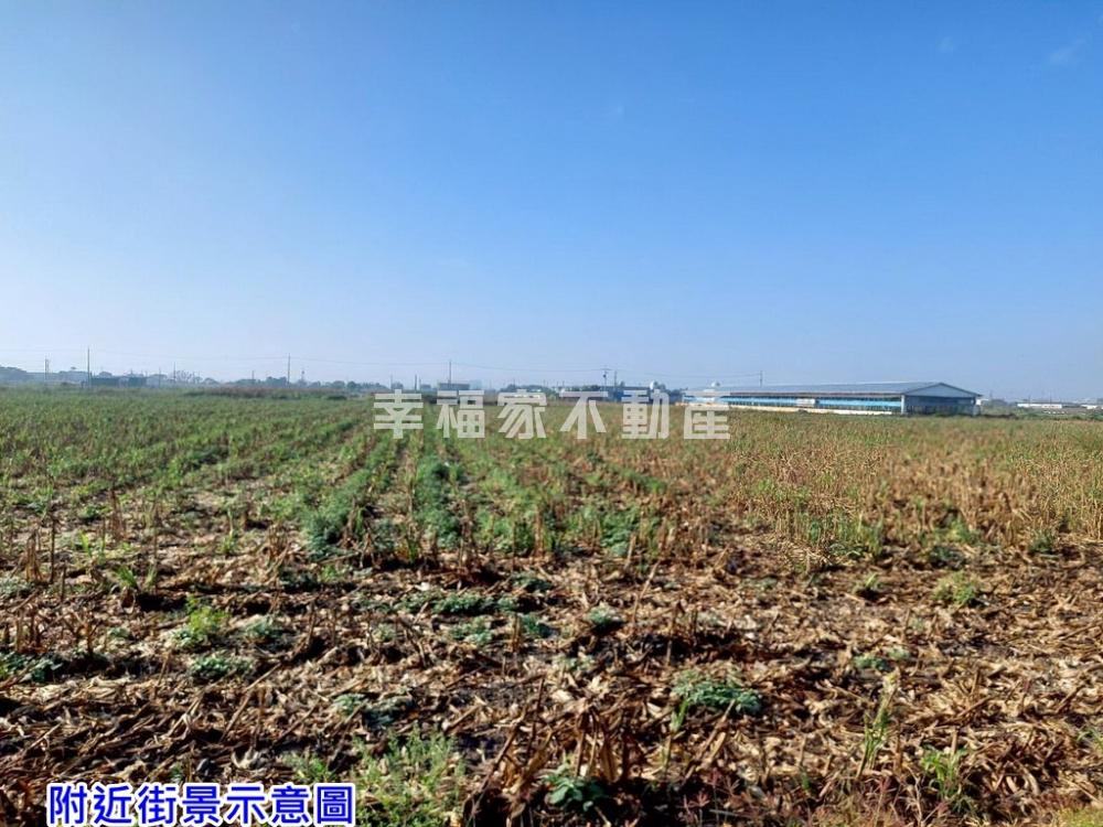麻豆好農地(1)