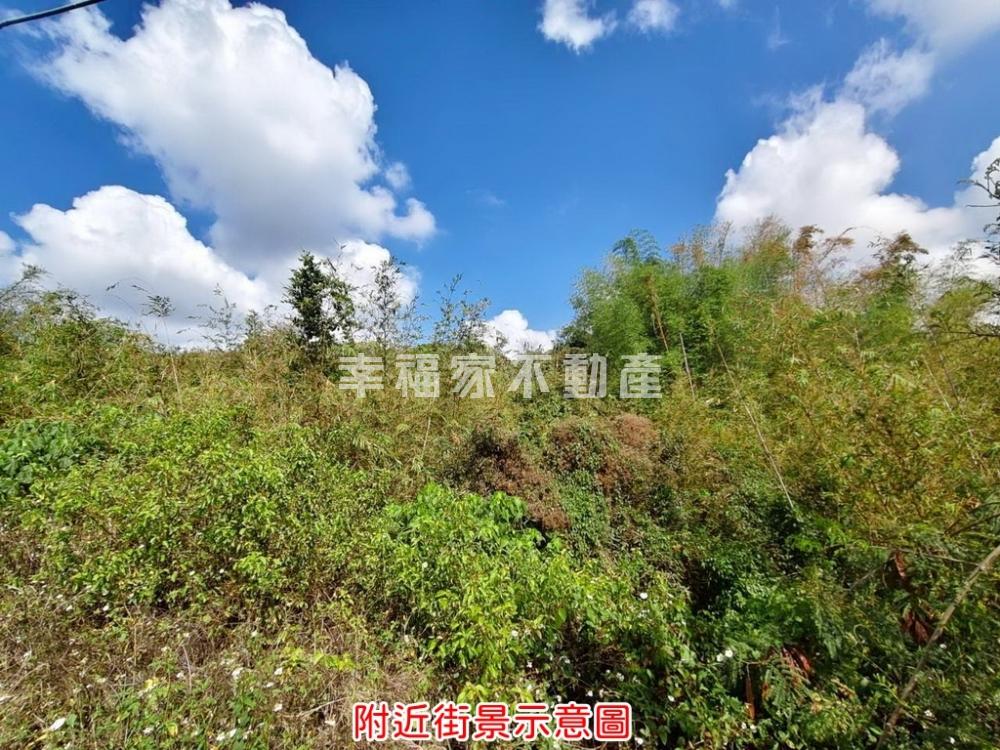 關廟五甲段有土斯有財一般農