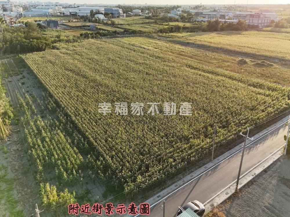 港明高中旁都內771農地1