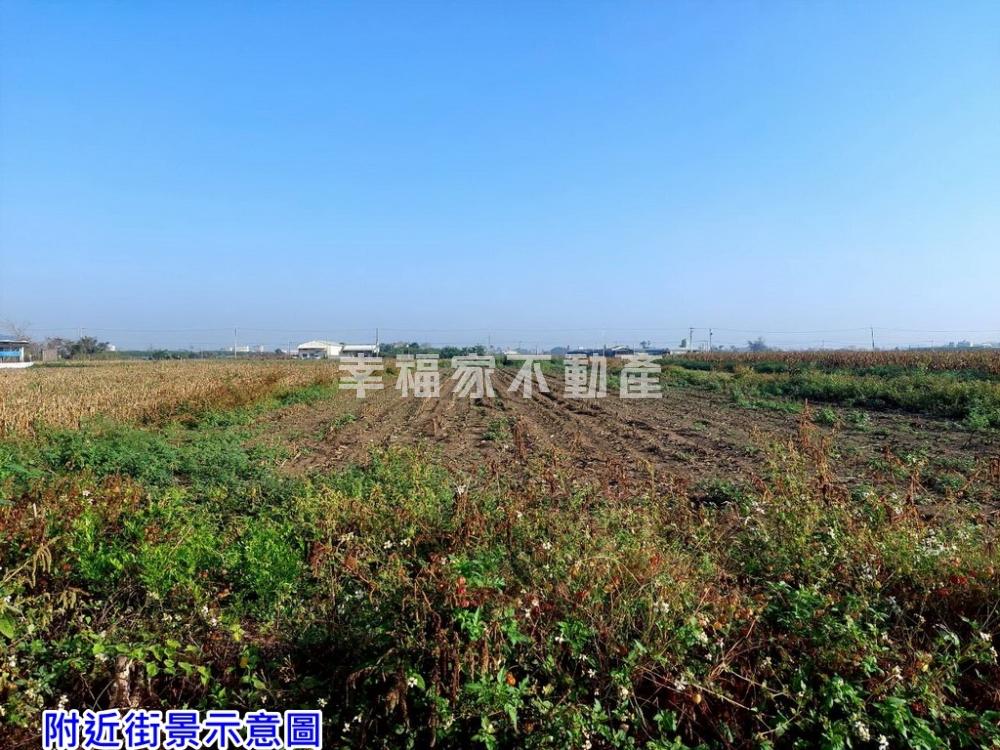 麻豆好農地(2)