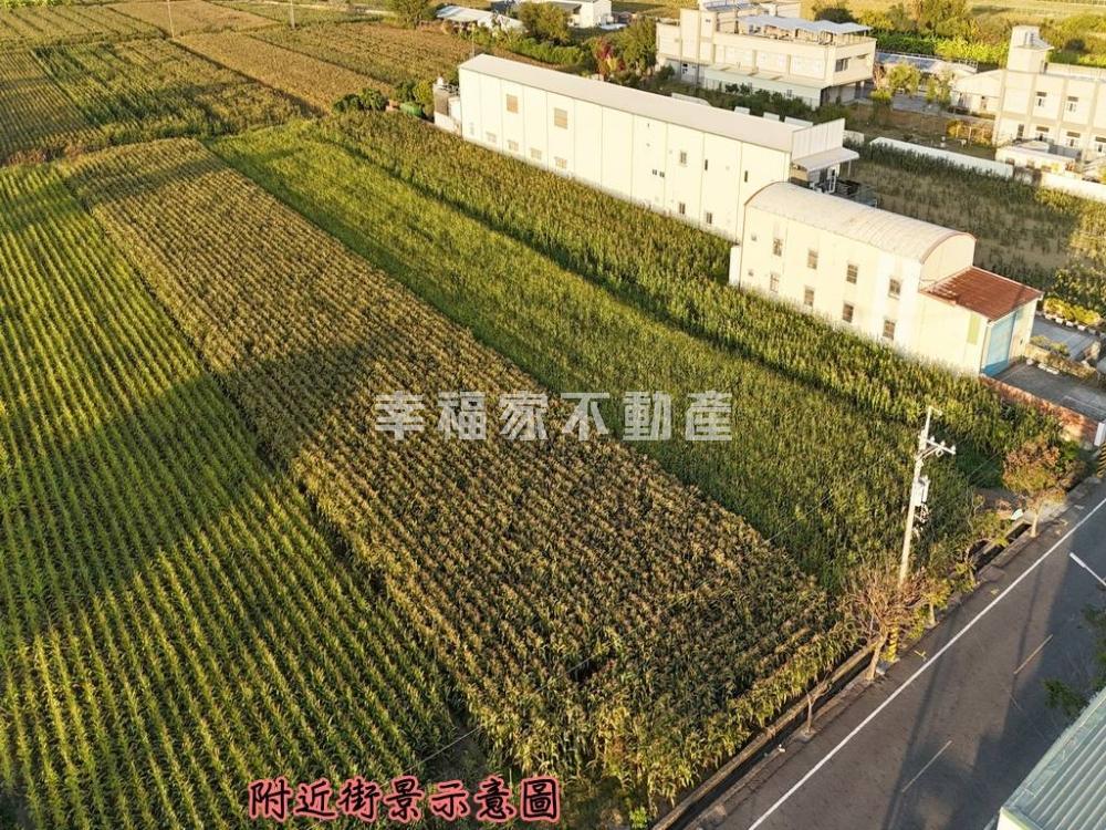 港明高中旁771漂亮農地2