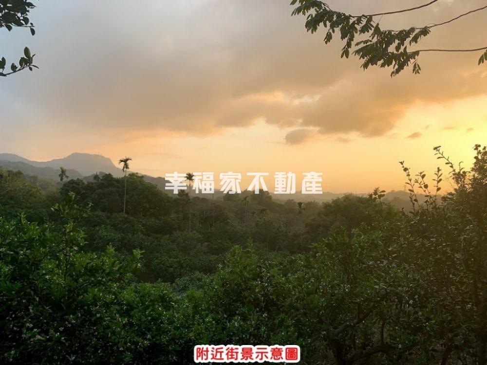 左鎮決心要賣農地(一)